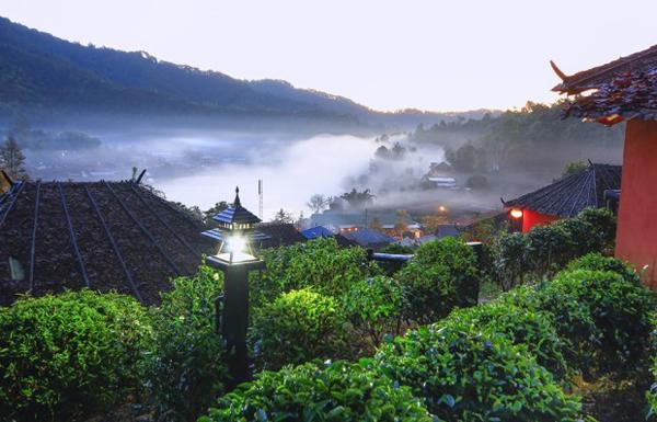  Những đồi chè xanh ngút ngát ở Choui Fong