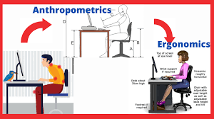 Importance of anthropometry and ergonomics.png