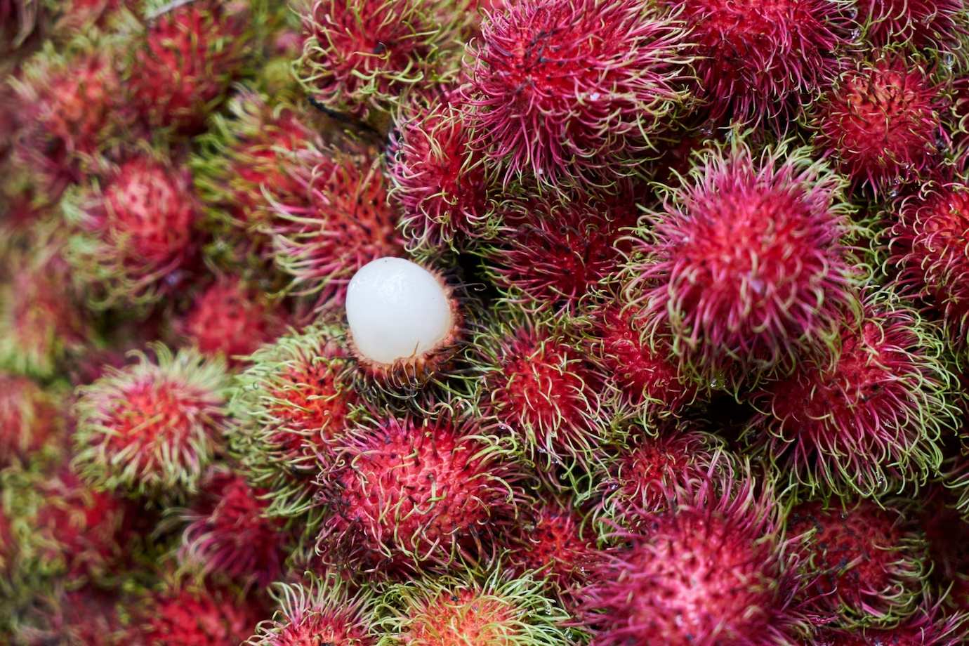 Rambutan - come consumarlo