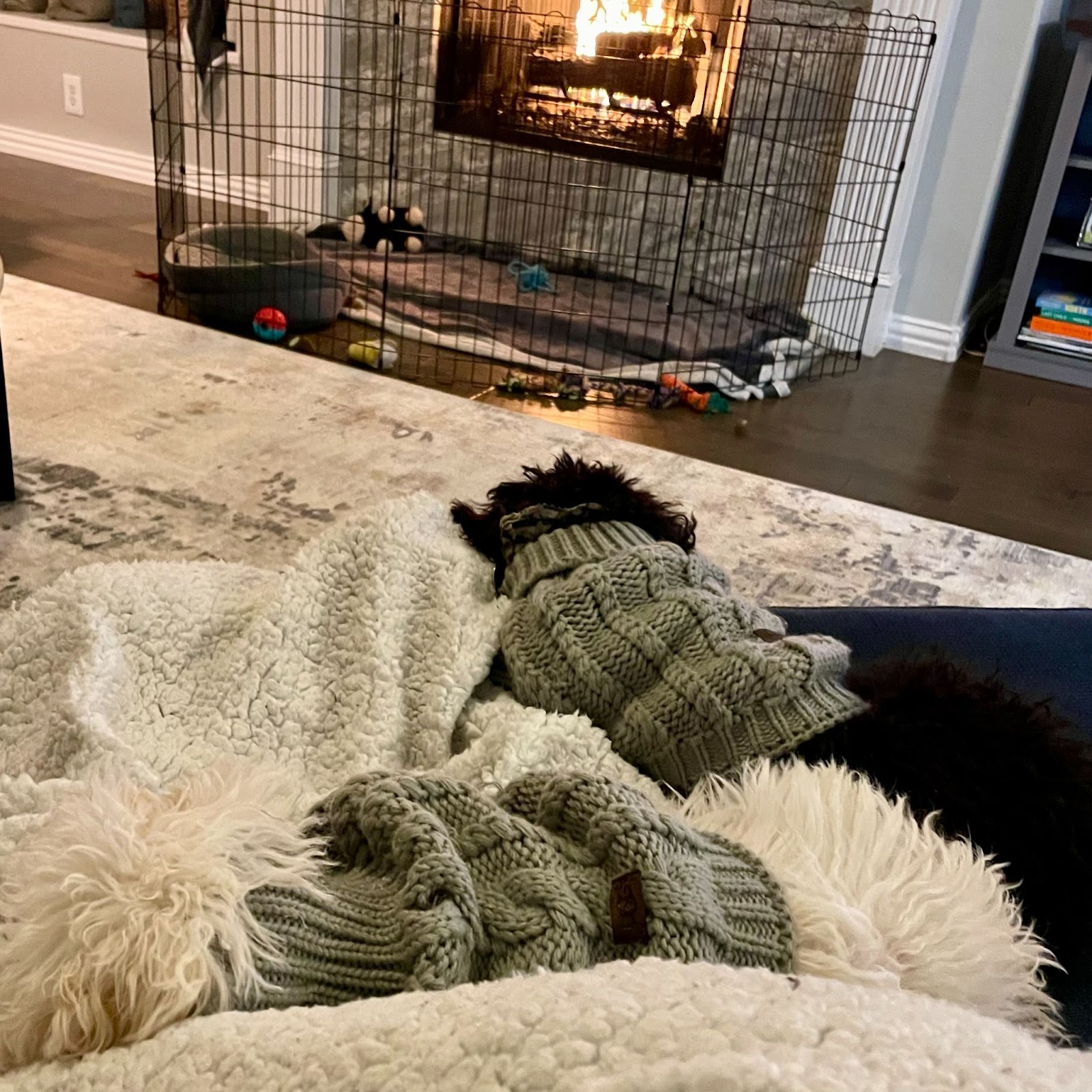 slow living with cozy pups