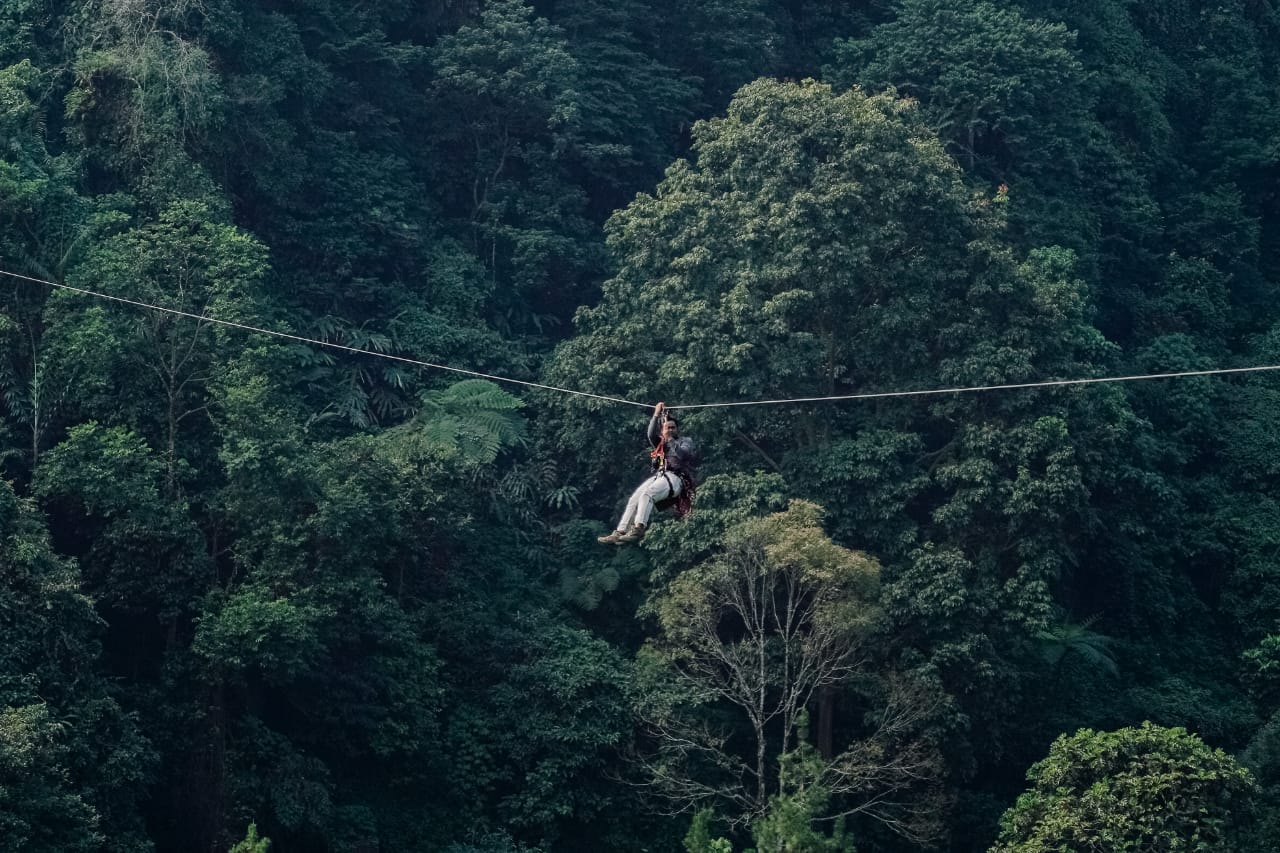 tempat outbound di bogor bogor treetop zipline adventure