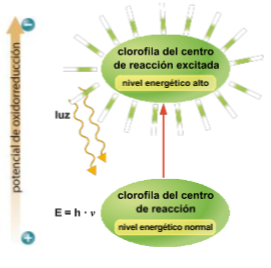 Diagrama, Esquemático

Descripción generada automáticamente