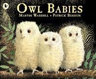 Owl Babies x 30 - Scholastic Shop