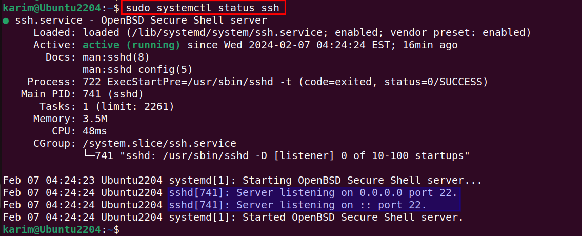 sudo systemctl status ssh