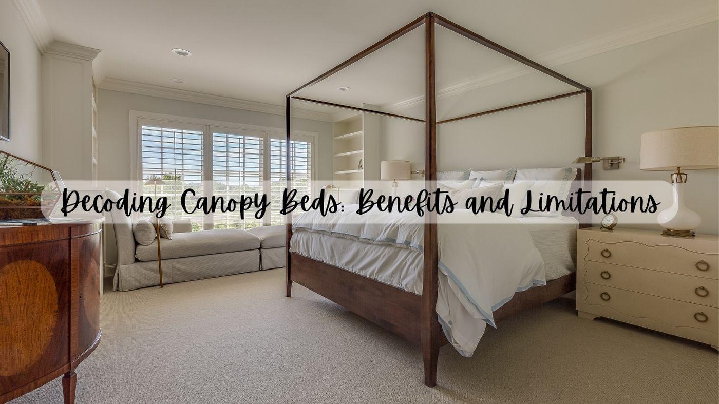 Modern Canopy Beds