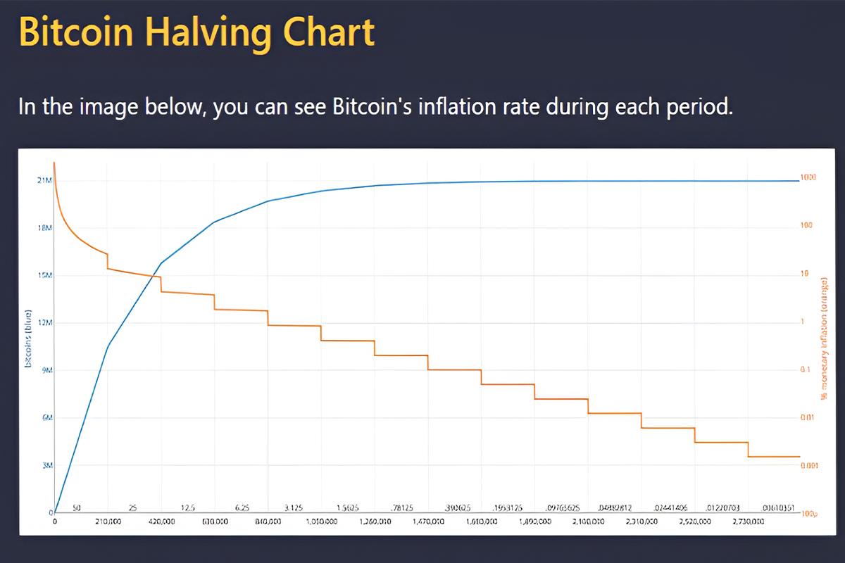 نمودار هاوینگ BTC‌