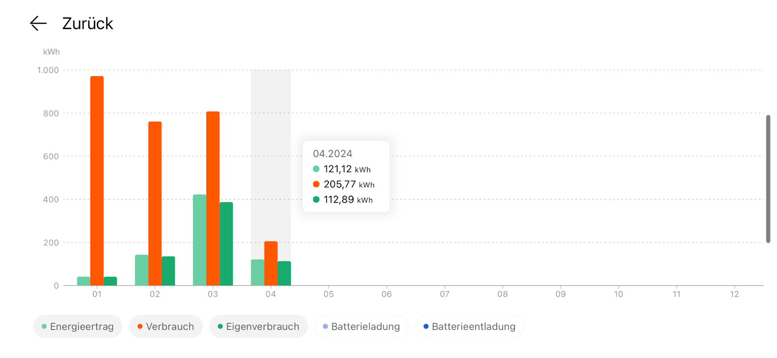 Solarstrom zuhause nutzen Energieertrag winter