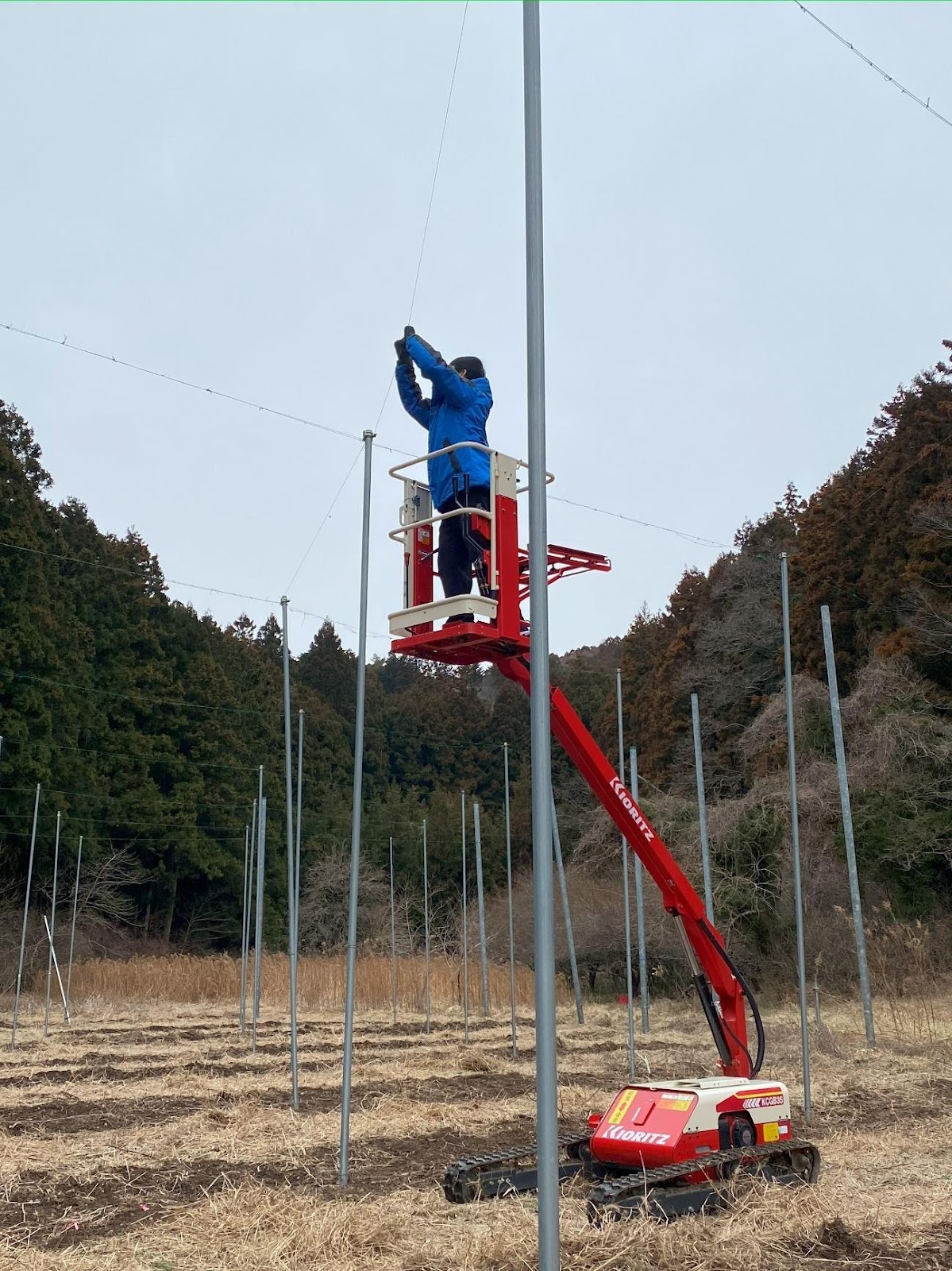 屋外, スイング, 電車, 草 が含まれている画像

自動的に生成された説明