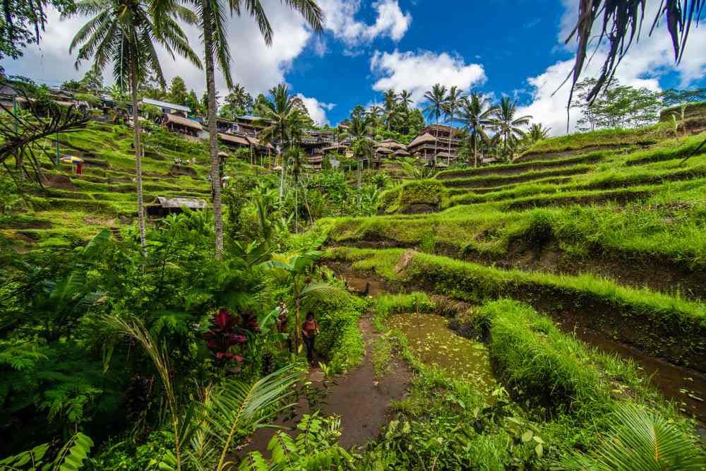 best place to visit at bali