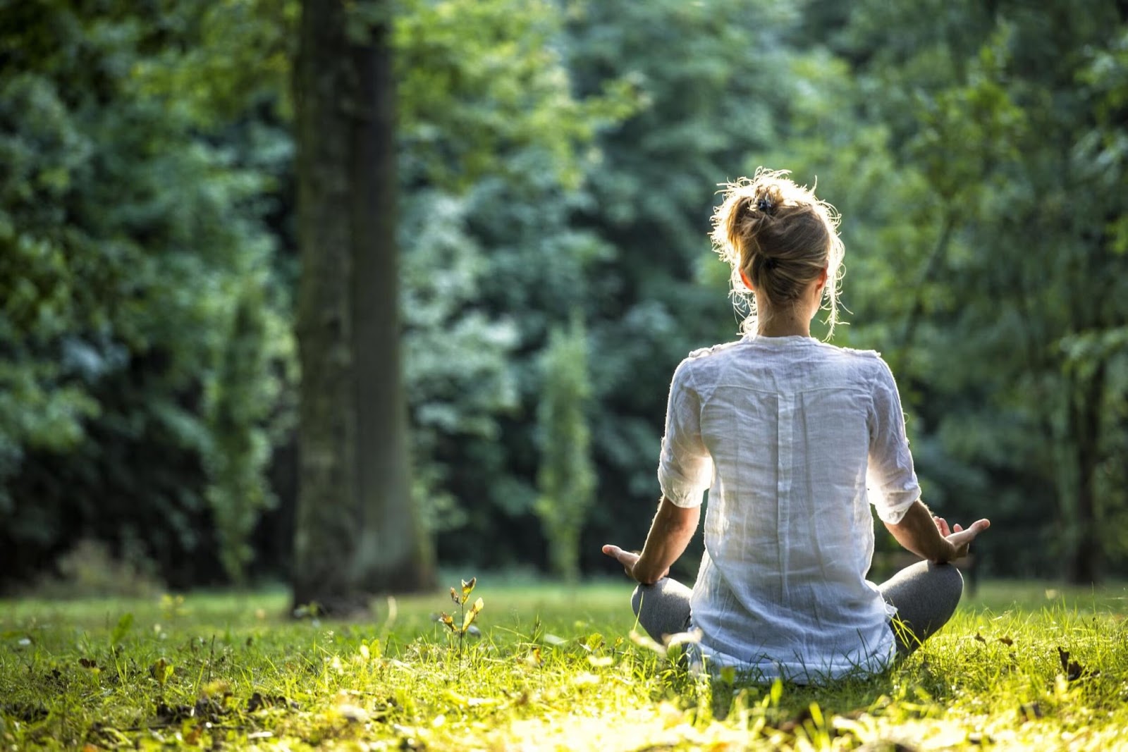 The Impact of Self-Discovery and Environment on Mindful Living in Addiction Recovery