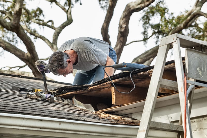 Roof Repairs Your Homes Backbone