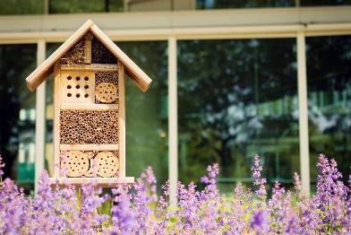 A insect house in front of purple flowersDescription automatically generated