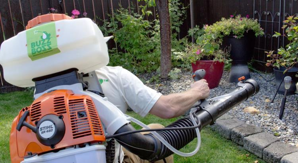 Buzz Boss technician spraying against spiders