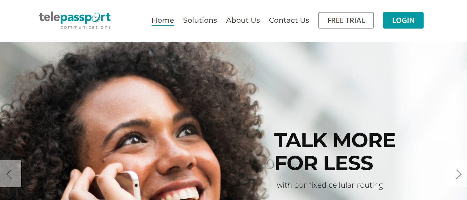 Telepassport website snapshot highlighting the services it offers.