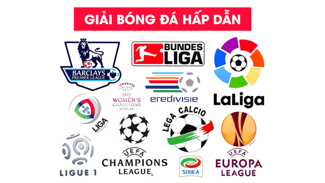 Bongdalu - Nơi cập nhật liên tục kết quả bóng đá và thông tin cược