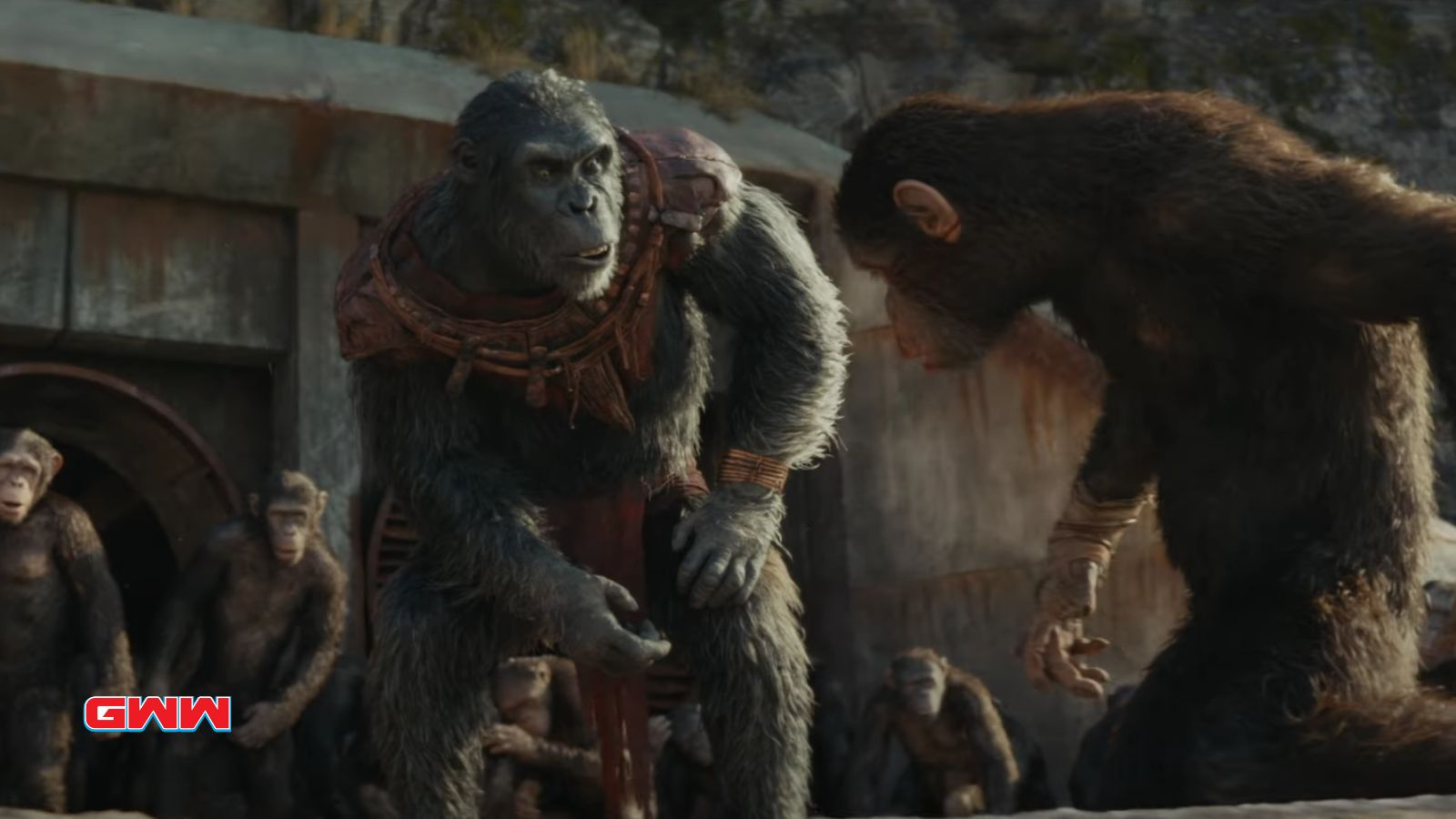 Proximus Caesar in Kingdom of the Planet of the Apes trailer