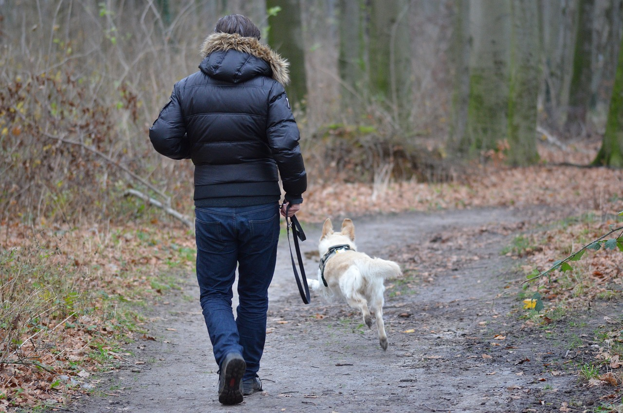 Vue de dos d'un homme promenant un chien sur un sentier en forêt pour améliorer le bien-être mental et faire de l'exercice en douceur