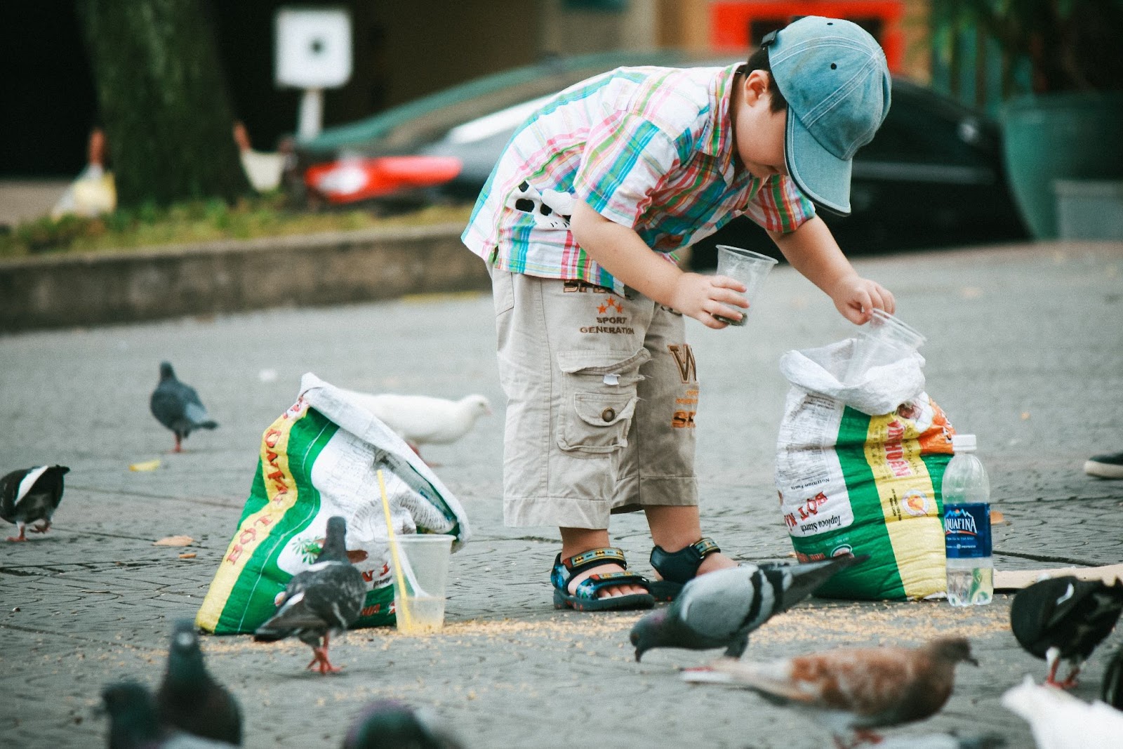 image of a small boy feeding birds to showcase street photography, one of the types of Photography