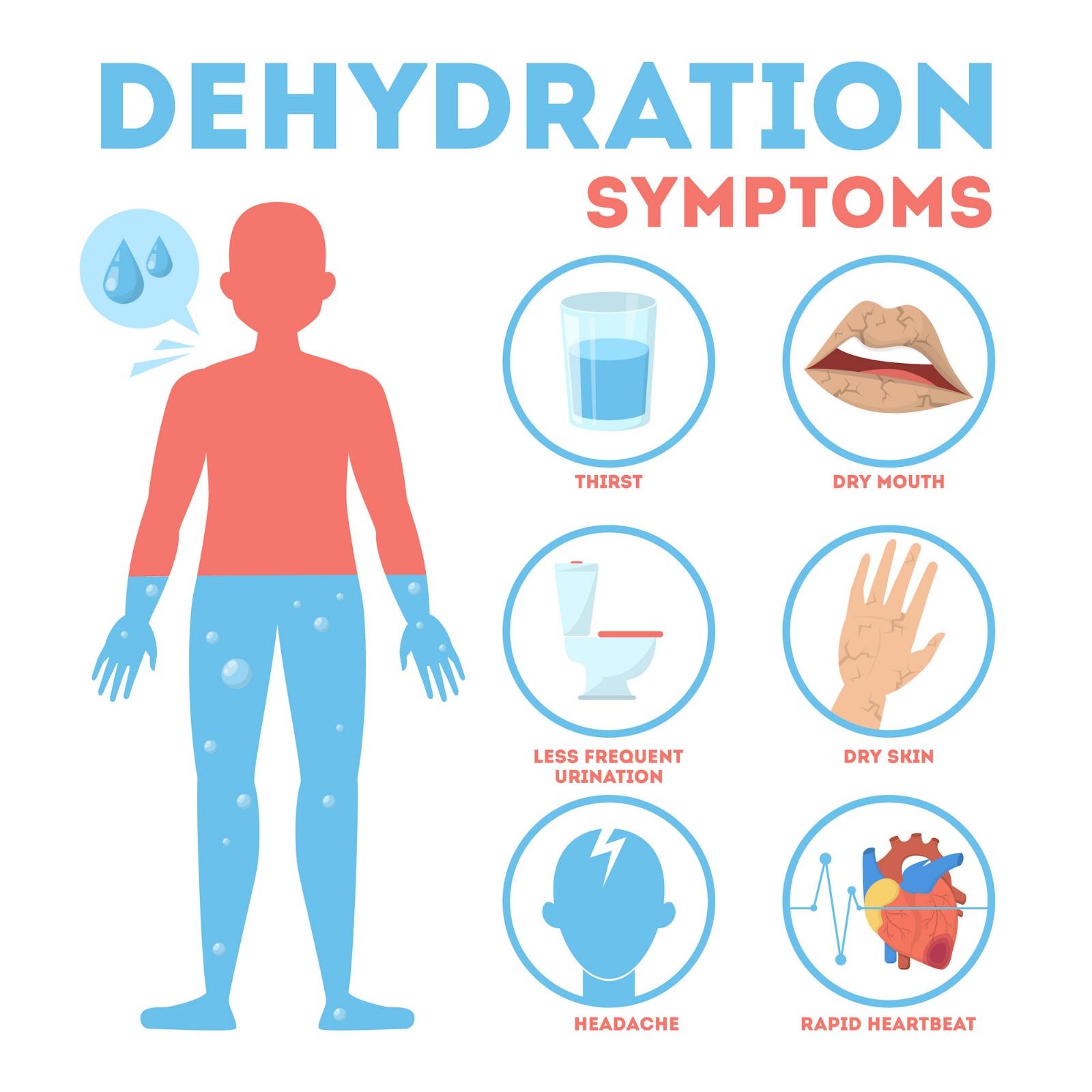 Negative Health Effects of Dehydration | Great Water Filters Australia