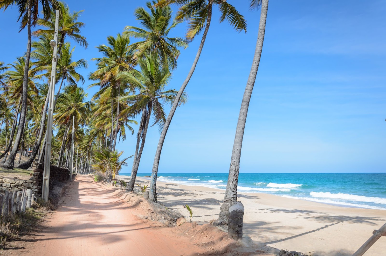 Estreito caminho de terra batida que passa entre os coqueiros na Praia de Manaíra. Ao lado dele, aparecem a faixa de areia branca e o mar azul