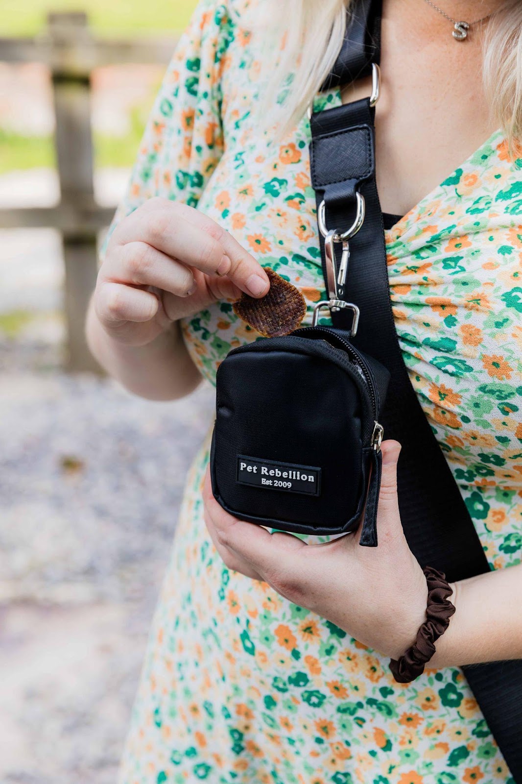 Perfect Dog Walking Bag
