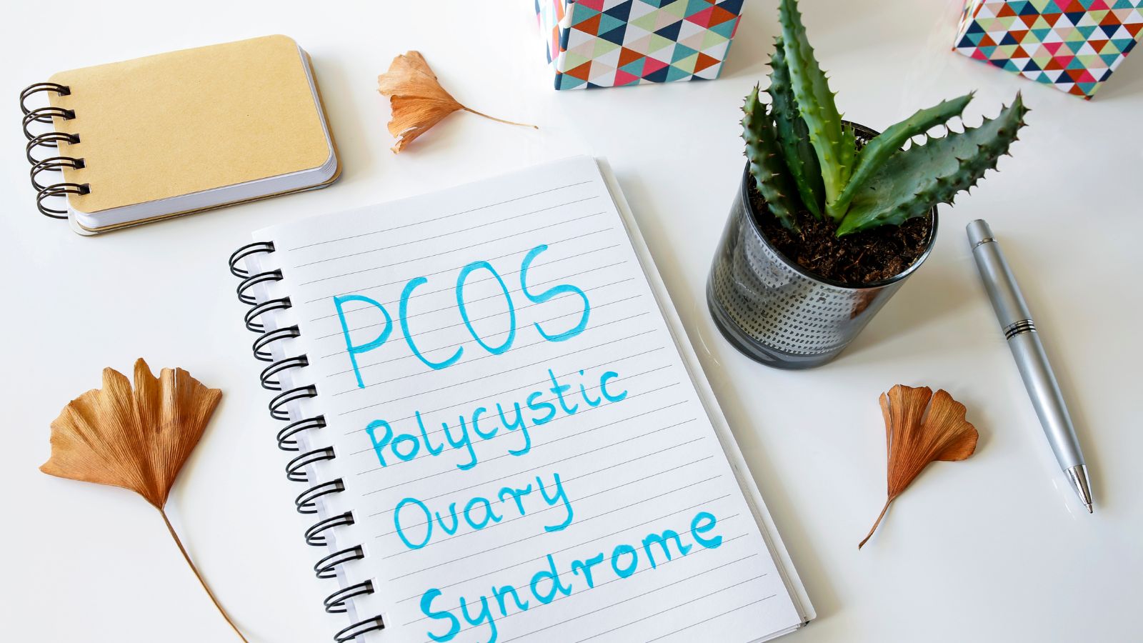 生理不規則の謎を解く: 多嚢胞性卵巣症候群（PCOS）の全貌