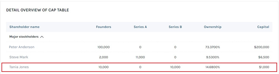 overview of cap table 