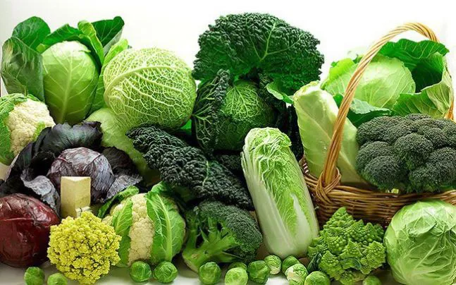 Rau xanh chứa chất xơ, vitamin và khoáng chất là một trong những chế dộ ăn thông minh cho hệ tiêu hóa hoạt động tốt.