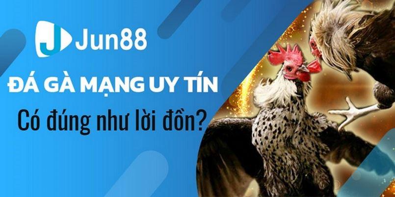 Độ uy tín của sảnh đá gà tại Jun88 đã được 100% người chơi công nhận