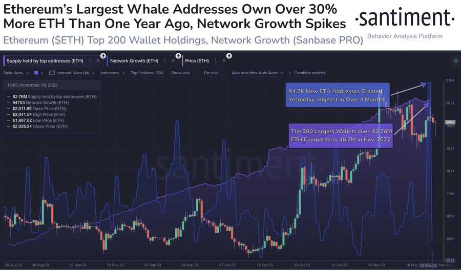 Ethereum whales on buying spree as 200 largest wallets hold $125 billion