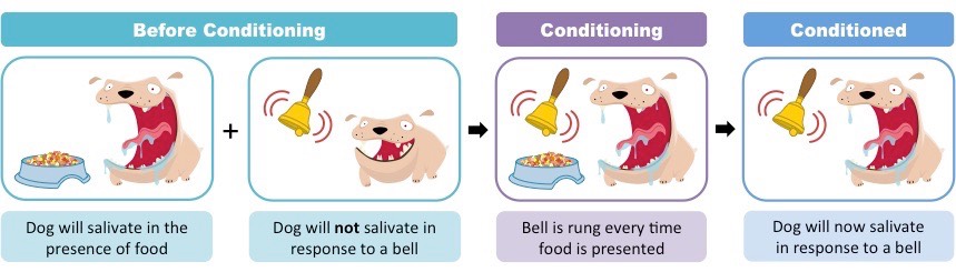 reflex conditioning