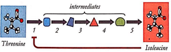 Imagen que contiene reloj

Descripción generada automáticamente