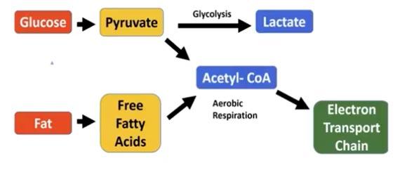 energy production