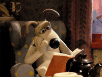 Cute Dog Reading A Book Sitting on a  Sofa