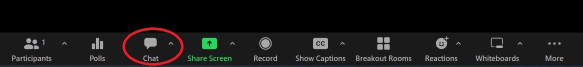 capture of zoom menu bar with Chat button highlighted
