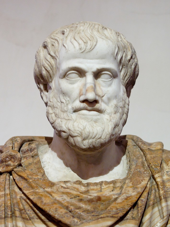 A marble bust of Aristotle, with medium length hair and a full beard, wearing some sort of orange-red garment. 