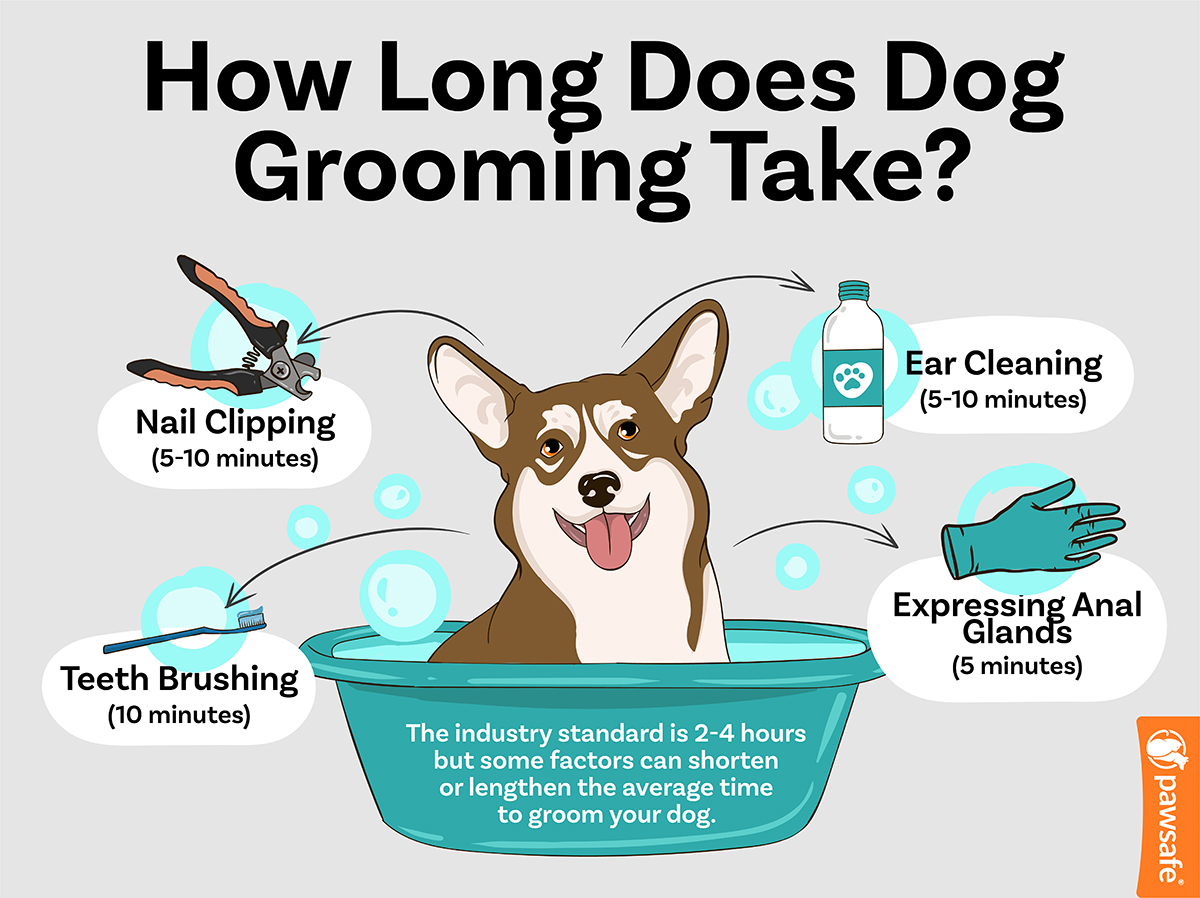 infographic showing how long it takes to groom a dog