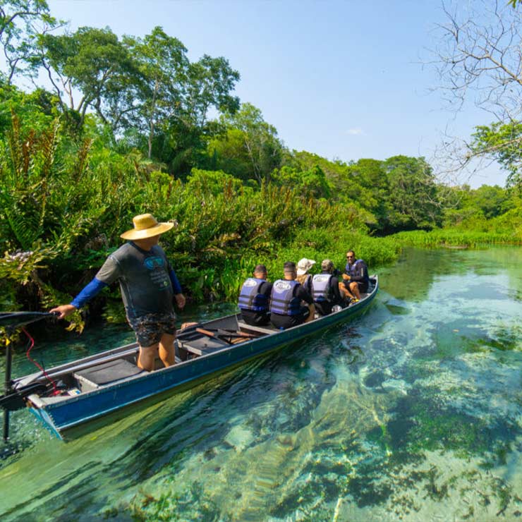 Rio Sucuri Bonito MS: conheça esse paraíso natural escondido