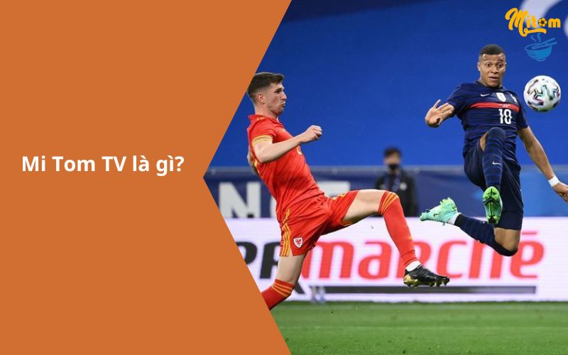 Mitom TV – Xem trực tiếp bóng đá Full HD hôm nay miễn phí