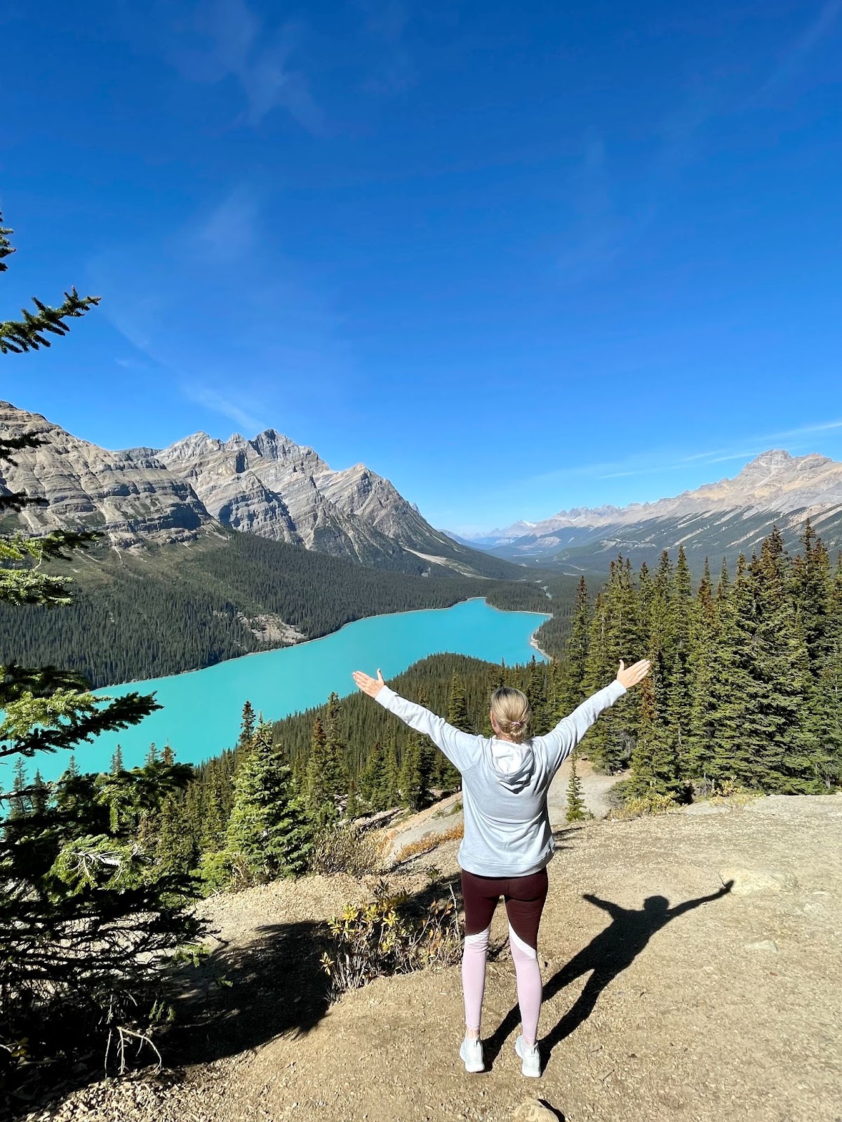 5 Days in Banff and Jasper National Parks: Peyto Lake