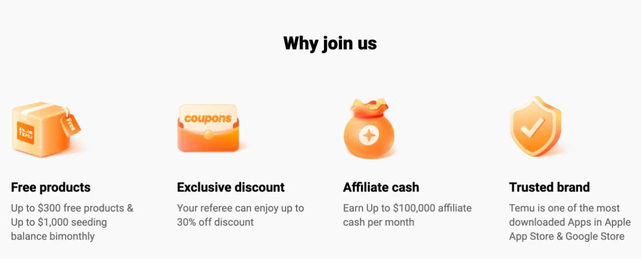 Become a brand ambassador and earn money promoting Temu products to your audience.