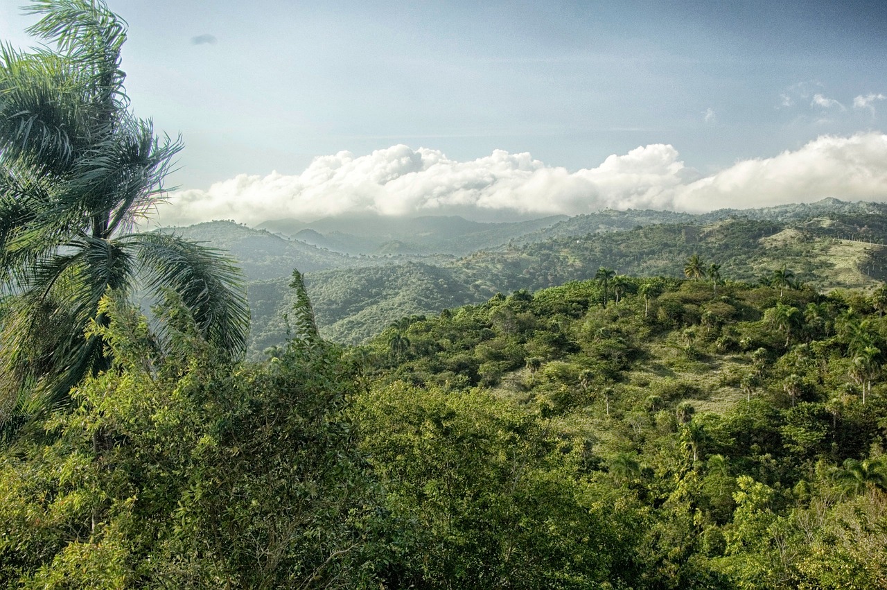 Scenic view of coffee-growing mountains in the Dominican Republic.