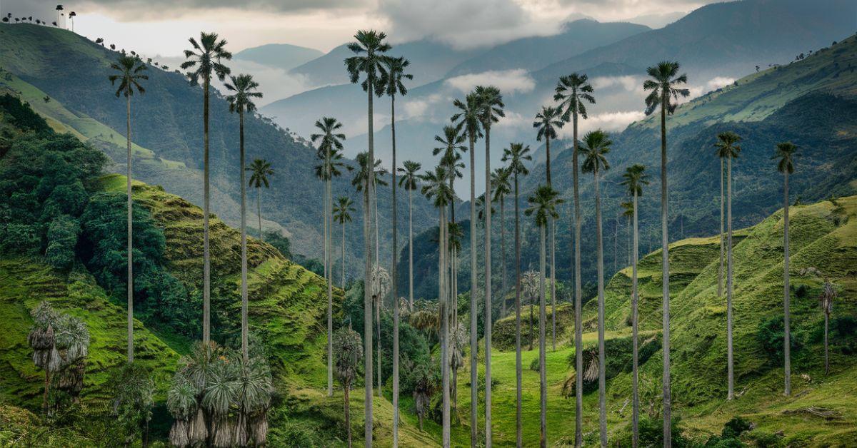 Best Places To Visit In Colombia