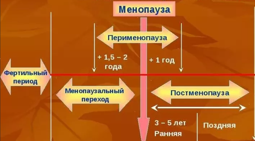 Период перед климаксом