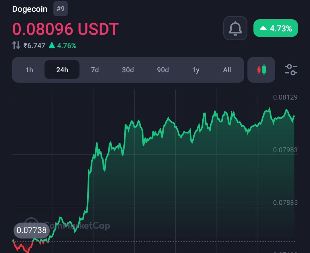 Dogecoin pumps rapidly, as the Doge-1 mission secures approval 1