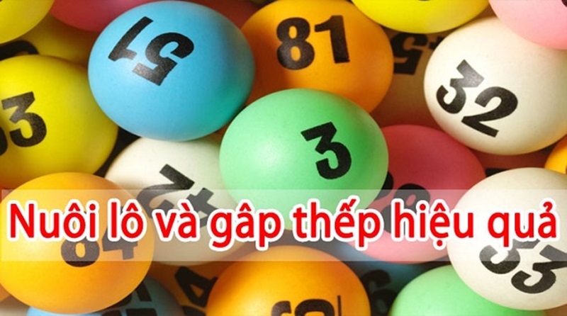 Lô gấp thếp là gì? Chia sẻ cách đánh lô gấp thếp hiệu quả nhất hiện nay