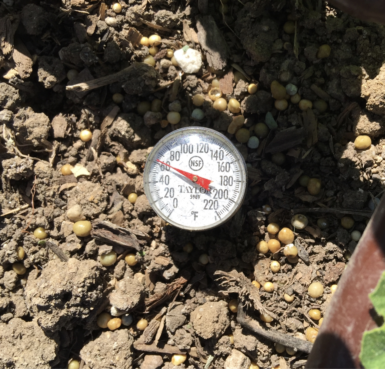 Soil Temperature