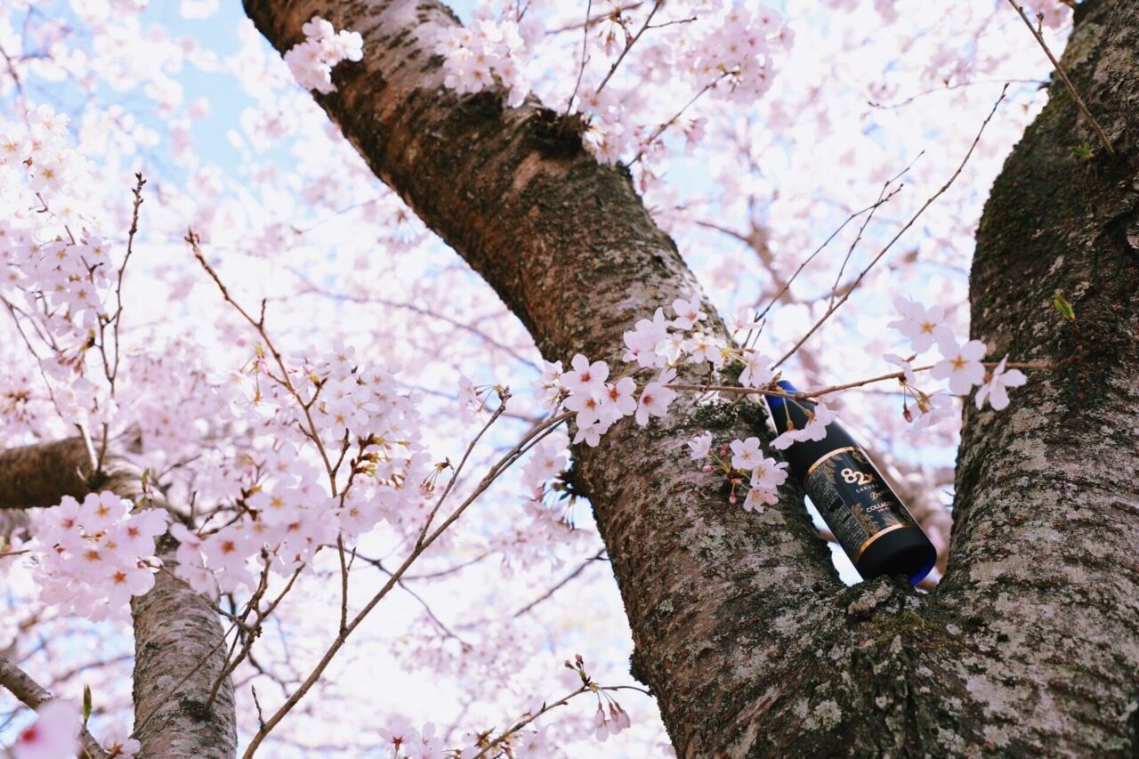 桜の花エキスと糖化対策～美しい肌を守る秘訣～