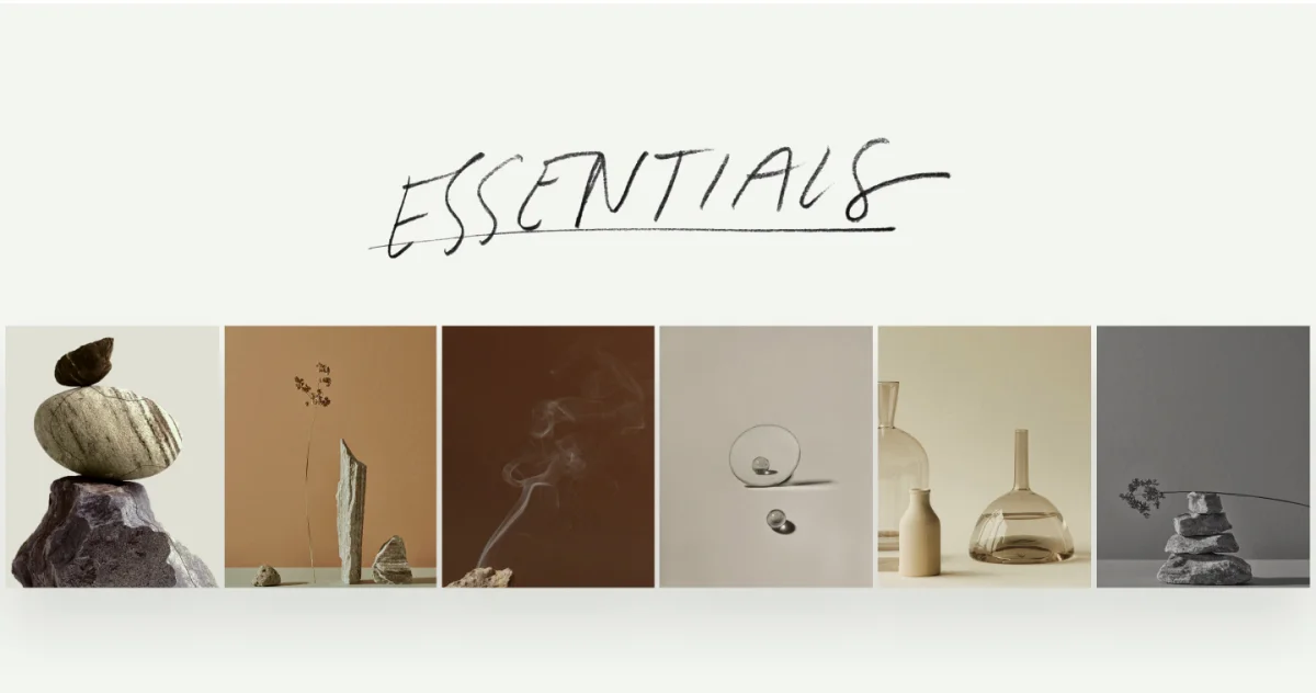 Essentials Elevation Legal Basics