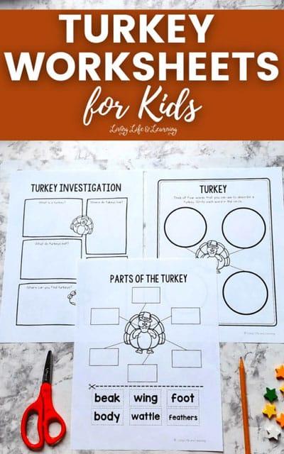 A turkey craft for kids

Description automatically generated with medium confidence